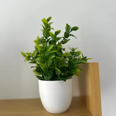 Steps From Old Town- Urokliwy Krok Od Starowki 格但斯克