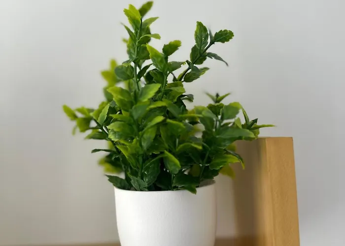 Steps From Old Town- Urokliwy Krok Od Starowki Gdańsk